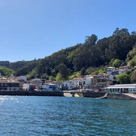 Casa Auro * Tazones